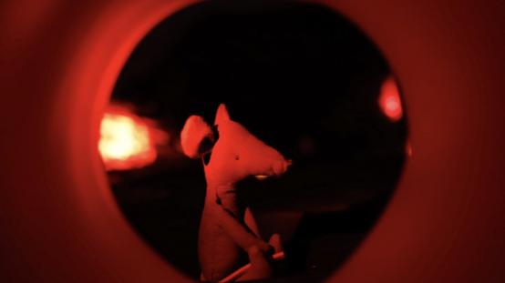 THE SAD FOREST | dir. Jeremi Rządowski