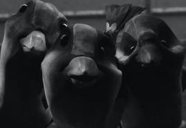 BLUE BIRD | dir. Stanisław Buczkowski