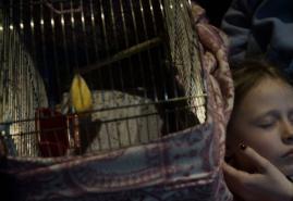 GRANICA | reż. Maria Magriel, Maria Magriel