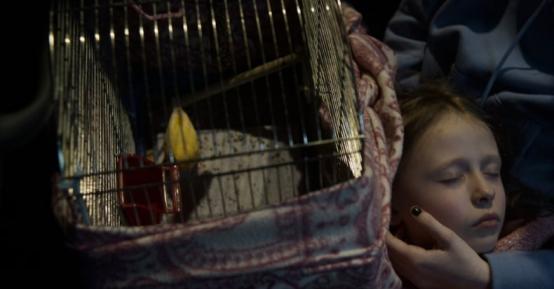 GRANICA | reż. Maria Magriel