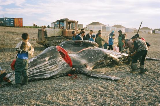 THE WHALE FROM LORINO | dir. Maciej Cuske