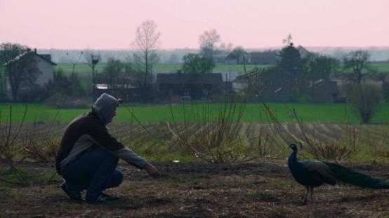 THE CULTURE CULTIVATOR | dir. Anna Urbańczyk