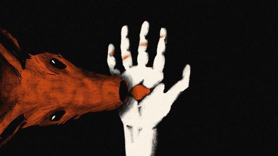 TERRITORY | reż. Barbara Synak