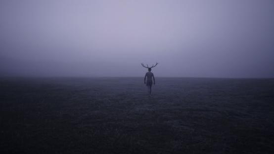 DEER BOY | dir. Katarzyna Gondek