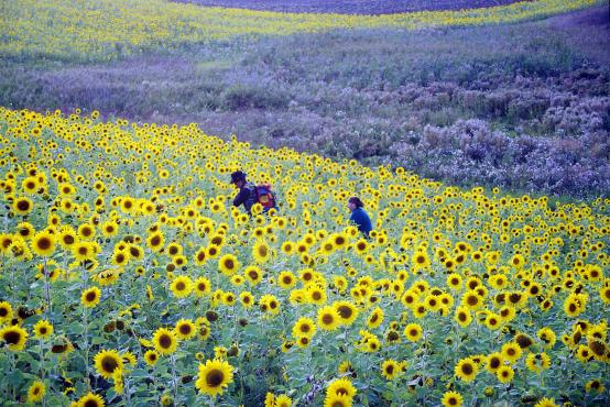 ON THE ROAD | dir. Maciej Adamek