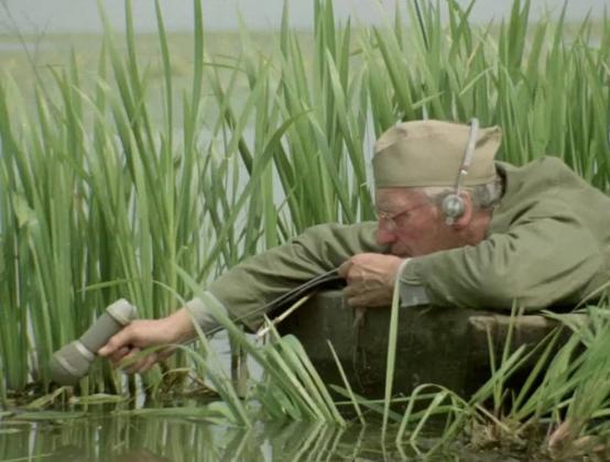 THE FAINT CLATTER OF BIRDS | dir. Franciszek Berbeka