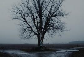 Kanth | reż. Katarzyna Pluskota