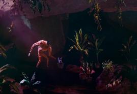 PLANTARIUM | dir. Tomek Ducki