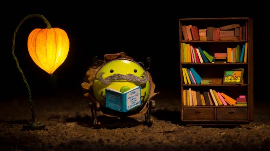 ŻUCZKI | reż. Piotr Chmielewski