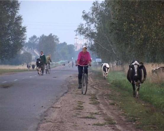 GALERIA ADY | reż. Uładzimir Kołas