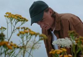 A BEAUTIFUL WILDFLOWER MEADOW | dir. Emi Buchwald, Emi Buchwald