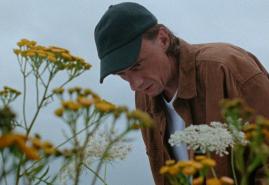 A BEAUTIFUL WILDFLOWER MEADOW | dir. Emi Buchwald, Emi Buchwald