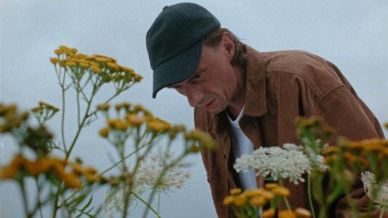 A BEAUTIFUL WILDFLOWER MEADOW | dir. Emi Buchwald