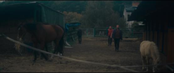 THE FENCE | dir. Tomasz Wolski