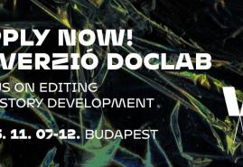 ZGŁOŚ SIĘ NA VERZIO DOCLAB