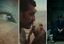 POLISH SHORT FILMS AT BRUSSELS SHORT FILM FESTIVAL