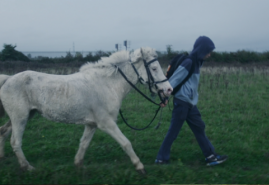 FILMY PAWŁA ZIEMILSKIEGO NA DAFILMS