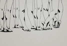 POLISH ANIMATED FILMS AWARDED AT THE FESTIVAL ETIUDA & ANIMA