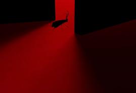 ANIMATION BY PAWEŁ PREWENCKI AWARDED IN PORTUGAL