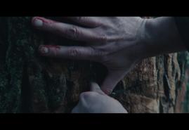 "ADAPTATION" WINS IN BRATISLAVA
