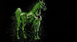 WYWIAD Z WITOLDEM GIERSZEM [WIDEO]