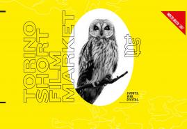 TORINO SHORT FILM MARKET CZEKA NA ZGŁOSZENIA