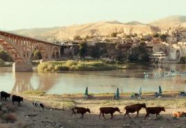 "MIASTO, KTÓRE WYJECHAŁO": ROZMOWA Z NATALIĄ PIETSCH I GRZEGORZEM PIEKARSKIM [RADIO NOWY ŚWIAT]