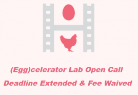 ZGŁOŚ SIĘ NA (EGG)CELERATOR LAB