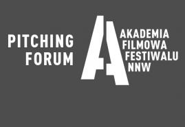 MIĘDZYNARODOWY FESTIWAL FILMOWY NNW OGŁASZA NABÓR PROJEKTÓW NA PITCHING FORUM