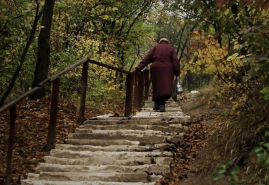 “MY PLACE OZERNA” AND “THE END OF THE VALLEY OF TEARS” AWARDED AT SLOVAK FILM FEST