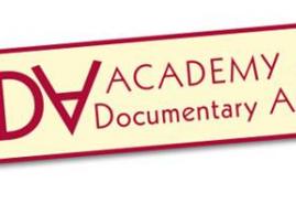 PROJECT CALLS FOR ARTDOCFEST PITCHING