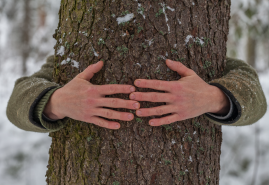 THREE POLISH DOCUMENTARY FILMS NOMINATED FOR THE SILVER EYE 