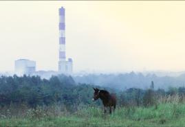 „TROCHĘ RAJU” WYGRYWA W WIELKIEJ BRYTANII