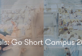 ZAPISZ SIĘ NA NEW ARRIVALS - GO SHORT CAMPUS 