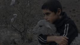 &quot;Milky brother&quot;, dir. Vahram Mkhitaryan<br />