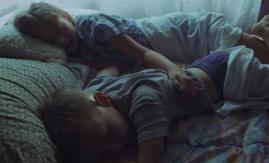 &nbsp;Zza szyby podglądam jak umiera sarna, młoda, reż. Angelika Cygal