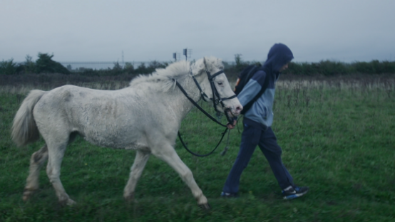 URBAN COWBOYS | dir. Paweł Ziemilski