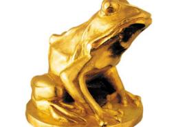 Polish documentaries will compete for the Golden Frog