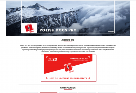 POLISH DOCS PRO AT THE SUNNY SIDE OF THE DOC MARKET CONNECTED EDITION 2020