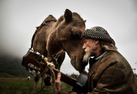 GORAN THE CAMEL MAN | reż. Marcin Lesisz