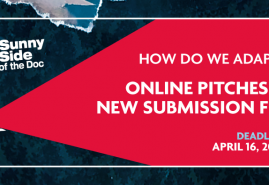 SUNNY SIDE OF THE DOC – PITCHING W WERSJI ONLINE